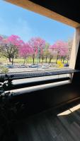 Park View Studio - B&B San Miguel de Tucumán