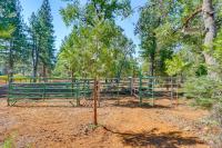 Private Horse Stall: Unplug at Shingletown Home! - Chambres d'hôtes Shingletown