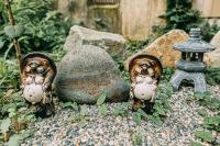 T304Japanese Garden Villa near Historic Town Max of 8 people - Ferienwohnung Takayama