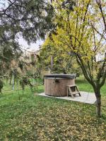 Casa Dana - B&B Râşnov