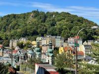 Luxury Gato View Apartment Karlovy Vary with private parking - B&B Karlovy Vary