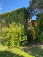 Ferienwohnung Waldblick - Ferienwohnung Grimma