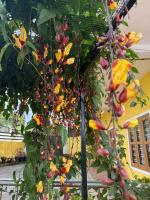 Ameliore Horizon Luxe - B&B Pīrmed