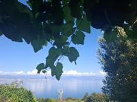 Apartments Blue & Green - B&B Mošćenička Draga