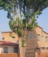 Strictly Halaal Brand New Self Catering Apartment - B&B Lenasia