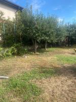 Just like your home - B&B Tecuci