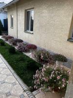 Guest House "Midnight" - B&B Talas