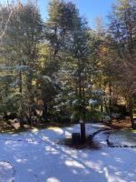 Refugio invernalia - Tiny house - B&B Las Trancas