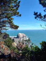 Cabañas Mongetum - Ferienwohnung Constitución