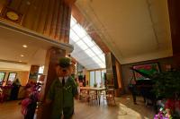 Bear Forest Villa - B&B