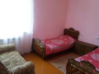 Standard Twin Room with Mountain View