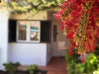 Aldeamento Praia dos Beijinhos - B&B Porches