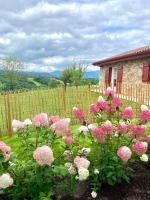 Le jardin d'Opporak - Jardin privé avec vue montagne - B&B Souraïde