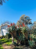Thronum Cottage - Ferienwohnung Mangoplah