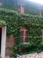 Apartment on Zhukovskogo - Bed and Breakfast