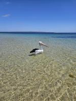 Serenity at Island Beach - B&B Island Beach