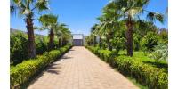 L'Oasis - B&B Mzerguiya