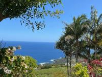 Chambre Agapanthe - Ilet aux Palmiste - B&B Saint-Joseph