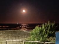 Casa beiramar, vista mar e pinheiros, pé na areia - B&B Xangri-lá