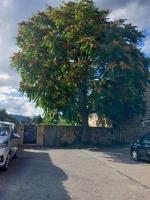 Gîte école des cyclamens - B&B Davézieux