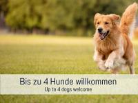 Burghalde: Sauna | Kamin | Garten | eingezäunt - B&B Alpirsbach