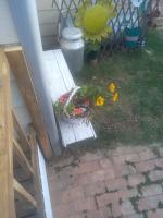 The Skilpad Doppie - Ferienwohnung De Rust