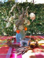 Guesthouse Jet - Bed and Breakfast Kutleše