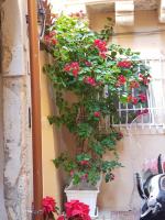 Ortigia SÈFER - B&B Siracusa