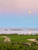 La Minditta - B&B San Teodoro