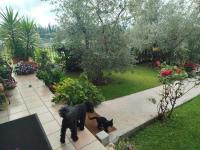 B&B Villa Maria Paola - Alloggi Temporanei Isernia - Chambres d'hôtes Isernia