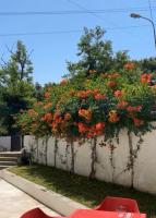 Lexhulo Room's - B&B Domje