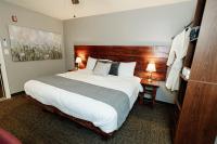 Camera King Standard