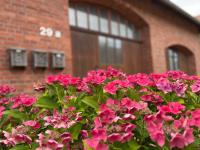 Hof Horsten - Wohnidyll in ehemaliger Scheune - B&B Bad Nenndorf