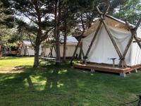 Pet-Friendly Safari Tent Glamping in Swan Valley, Idaho near Jackson Hole - B&B Irwin