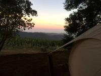 Lotus Yurt in Vineyard Overlooking Monterey Bay near Los Gatos, California - Chambres d'hôtes San José