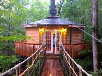 Stunning Tree House Rental in the Forest near Beckley, West Virginia - B&B Hico