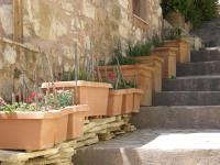 El Greco Traditional Houses - B&B Schinokápsala