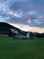 Wzgórze Artystów - B&B Głuszyca