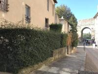 Appartement Ferruce - B&B Avignone