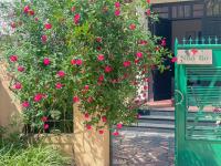 Nhà Bơ Homestay - B&B Thôn Kim Long