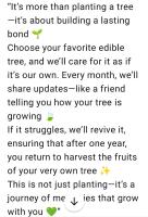 บ้านสวนกางโต้ง Ban Suan Kang Tong - B&B Chom Thong