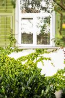 Casa Verde Dornbirn - B&B Dornbirn