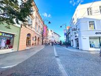 Balcescu Loft - Bed and Breakfast Sibiu