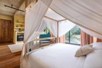 Lena Junior Suite with Jungle View