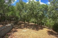 Trulli - Il Borgo del Mare - B&B Selva di Fasano
