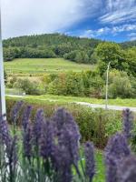 Chloe's Apartments - B&B Gloggnitz