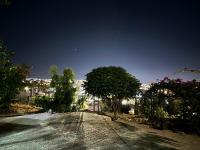 Jerash Canopy - B&B Jarash