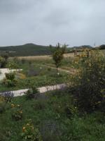 Agriturismo Pian Di Meta Vecchia - B&B Castiglione d'Orcia