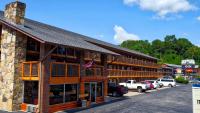 Wild Bear Inn - Ferienwohnung Pigeon Forge