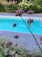 EinKlang - Familienidyll - Ferienwohnung Seesen